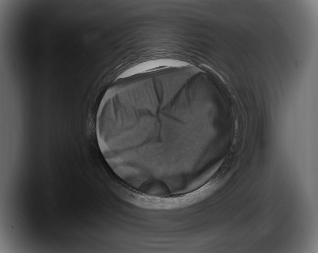 X0000087510048200705251628