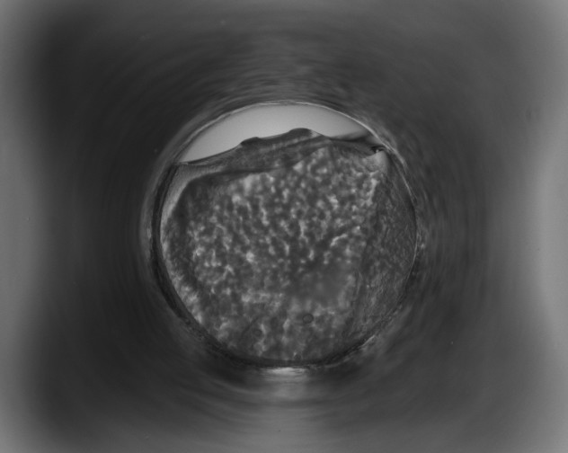 X0000087510053200705251627