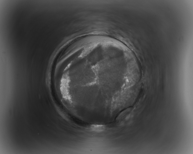 X0000087510055200705251627