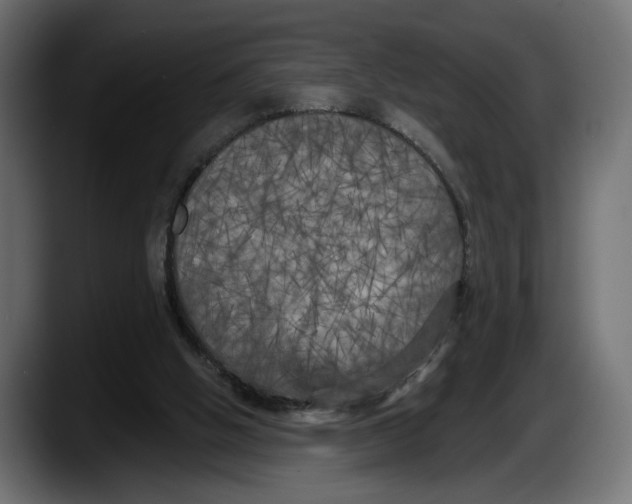 X0000087510058200705251627