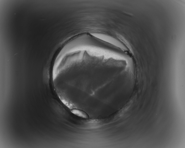 X0000087510059200705251627