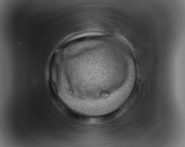 X0000087510060200705251627