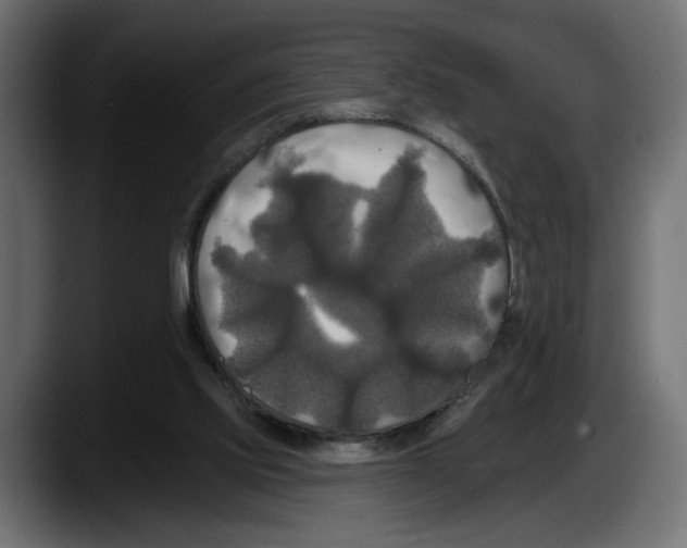 X0000087510061200705251627