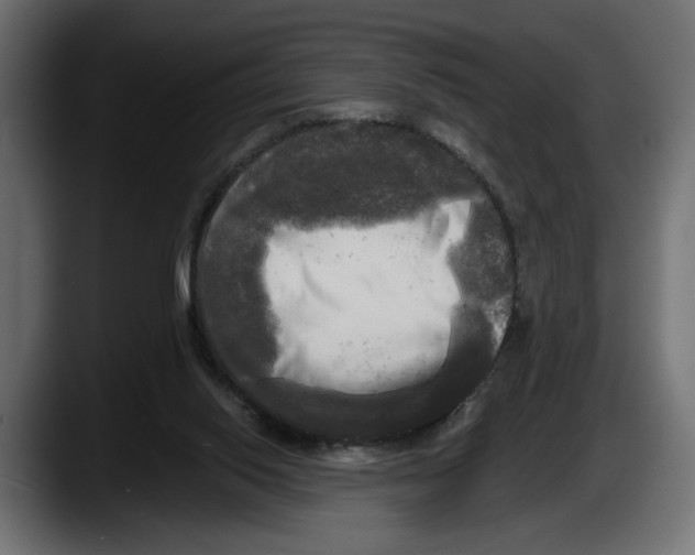 X0000087510062200705251627