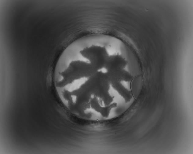 X0000087510065200705251627