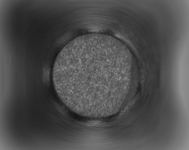 X0000087510066200705251627