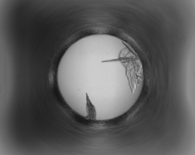 X0000087510071200705251627