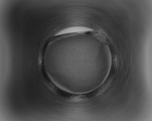 X0000087510072200705251627