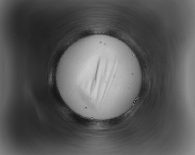 X0000087510074200705251627