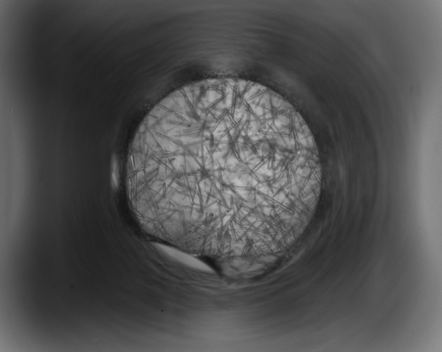 X0000087510075200705251628