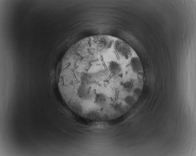 X0000087510077200705251628