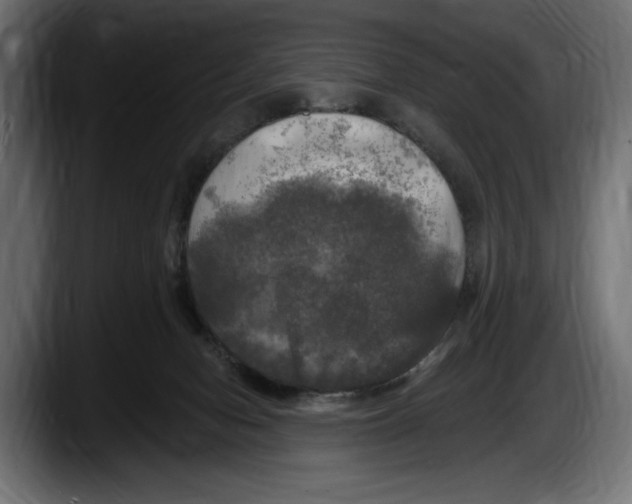 X0000087510078200705251628