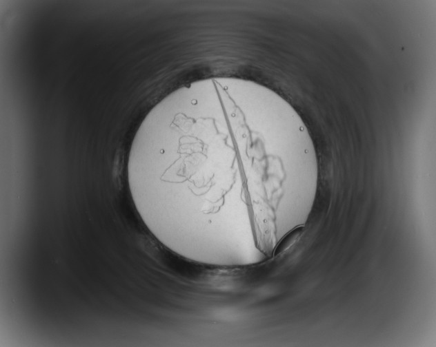 X0000087510082200705251628