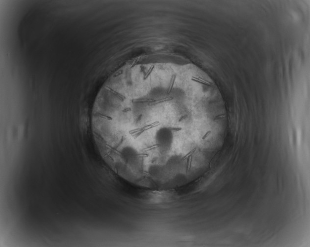 X0000087510085200705251628