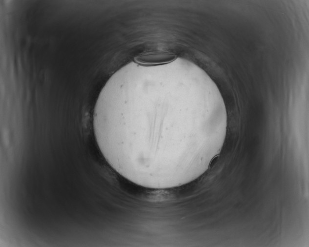 X0000087510087200705251628