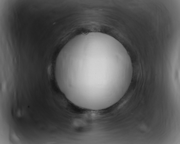 X0000087510088200705251628