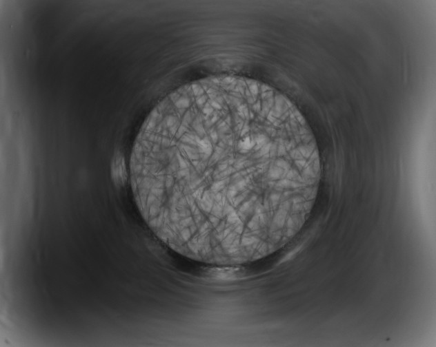 X0000087510089200705251628