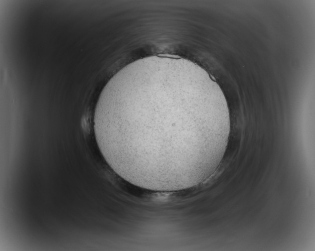 X0000087510090200705251628