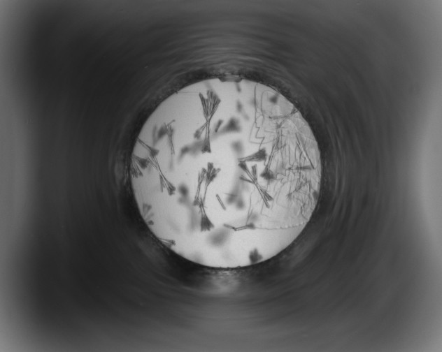 X0000087510091200705251628