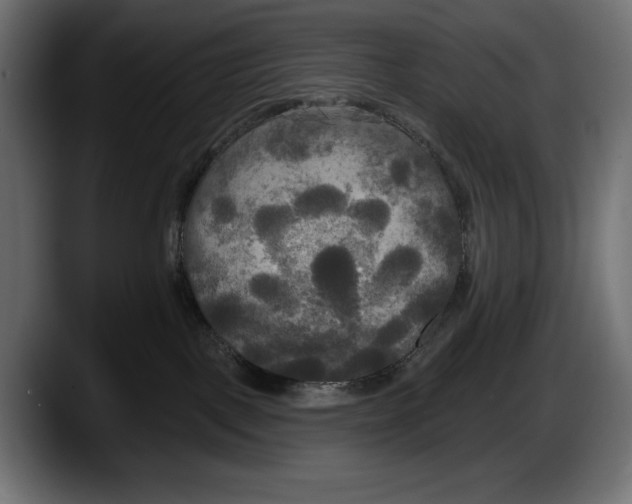 X0000087510093200705251628