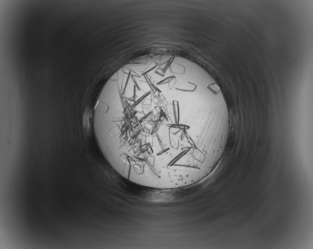 X0000087510094200705251628