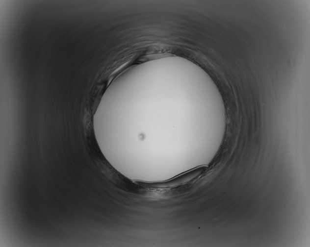 X0000087510096200705251628