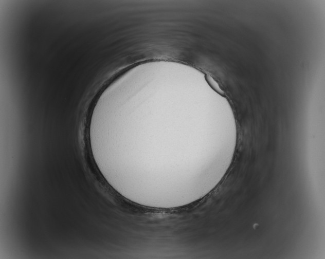 X0000087510098200705251627