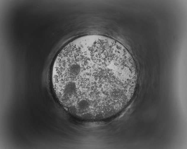 X0000087510103200705251627