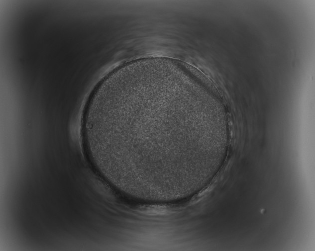 X0000087510104200705251627