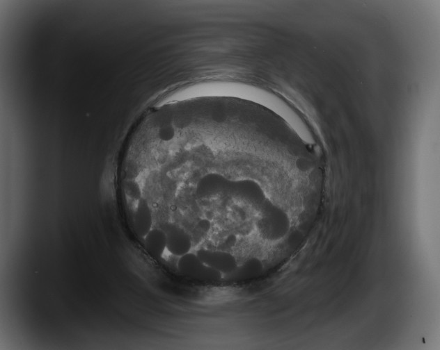 X0000087510107200705251627