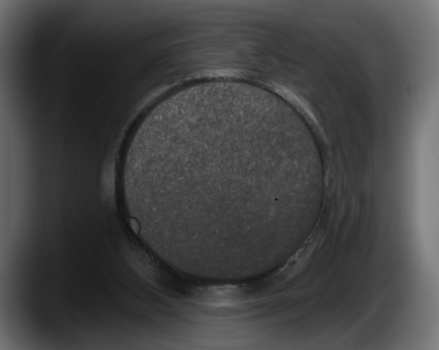 X0000087510108200705251627