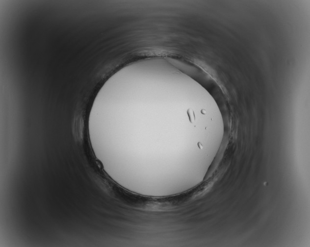 X0000087510109200705251627