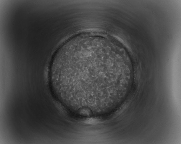 X0000087510111200705251627