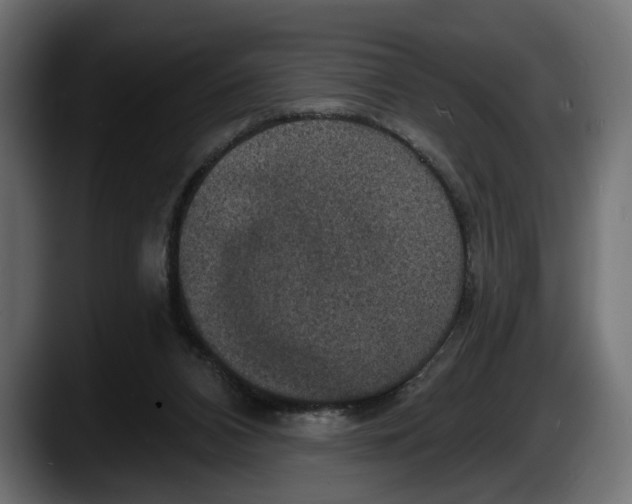 X0000087510112200705251627