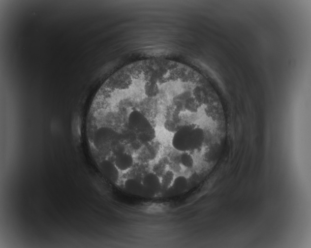 X0000087510115200705251627