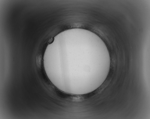 X0000087510118200705251627