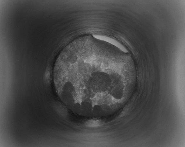 X0000087510119200705251627