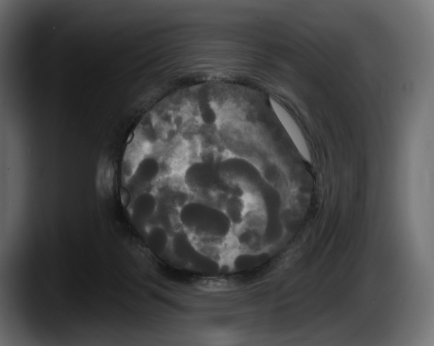 X0000087510123200705251627