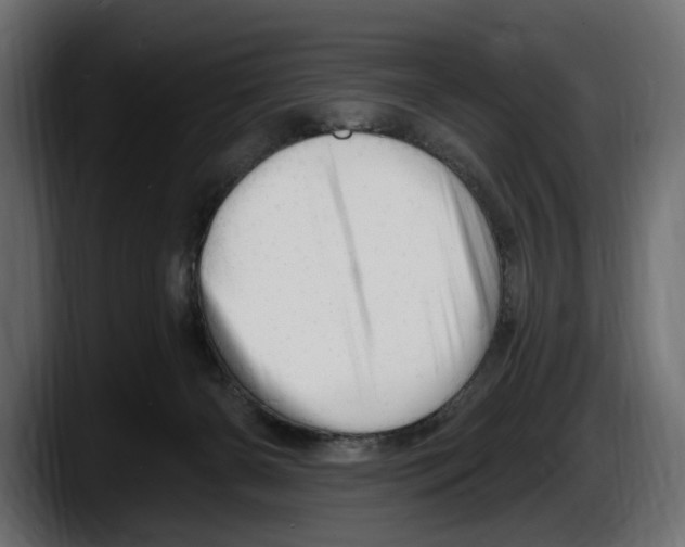 X0000087510126200705251627