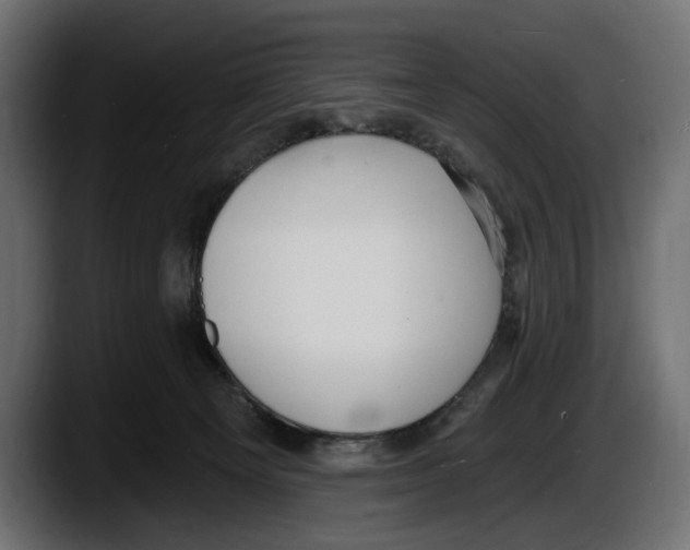 X0000087510129200705251627