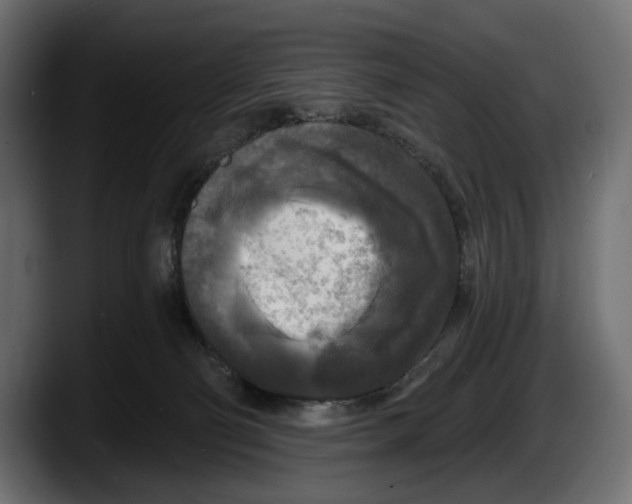 X0000087510130200705251627