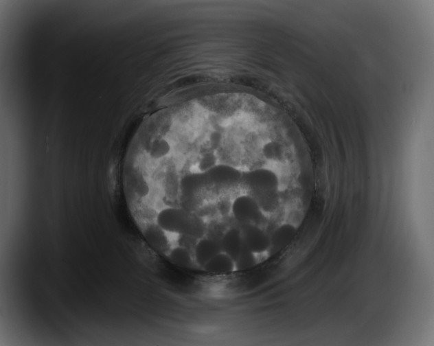 X0000087510131200705251627