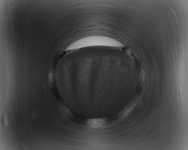 X0000087510137200705251627