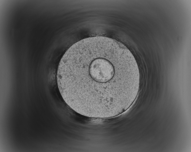 X0000087510144200705251627