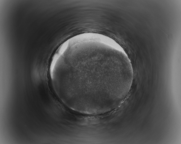 X0000087510146200705251626