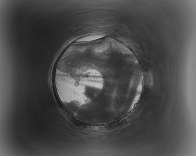 X0000087510147200705251626