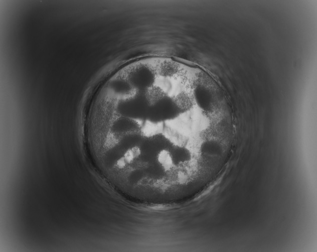 X0000087510149200705251626