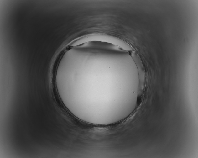 X0000087510150200705251626