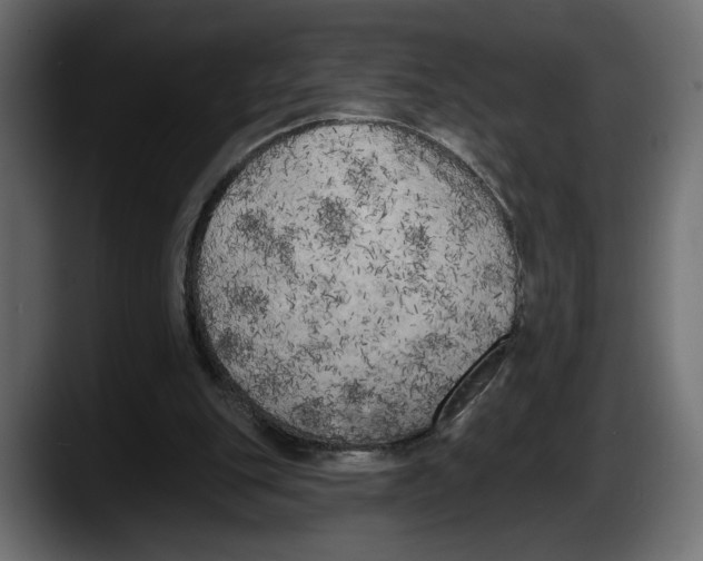 X0000087510151200705251626