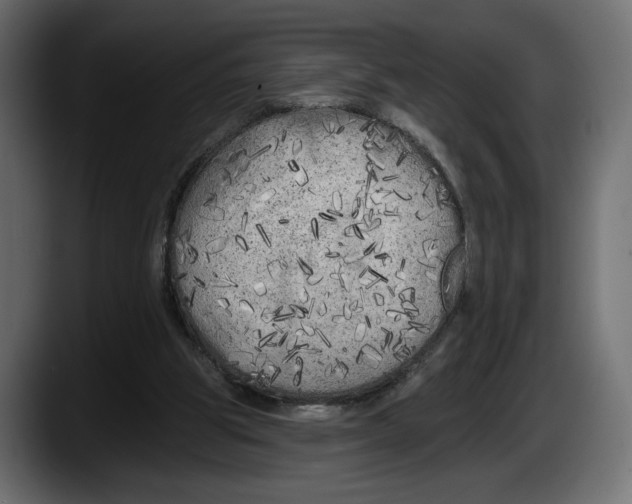 X0000087510153200705251626